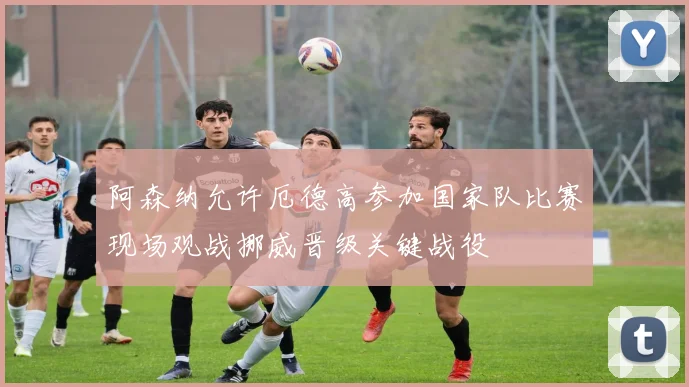 阿森纳允许厄德高参加国家队比赛现场观战挪威晋级关键战役