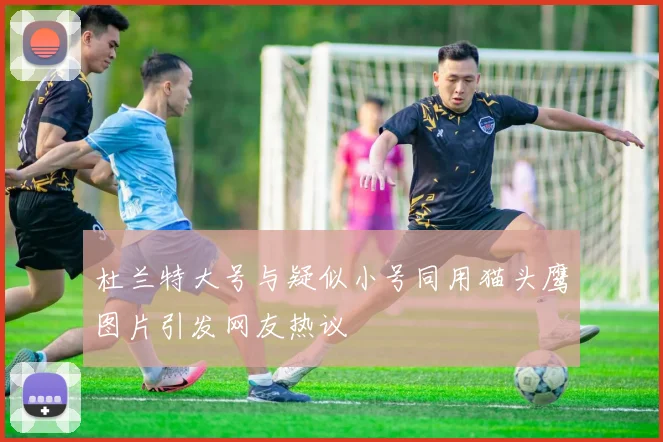 杜兰特大号与疑似小号同用猫头鹰图片引发网友热议